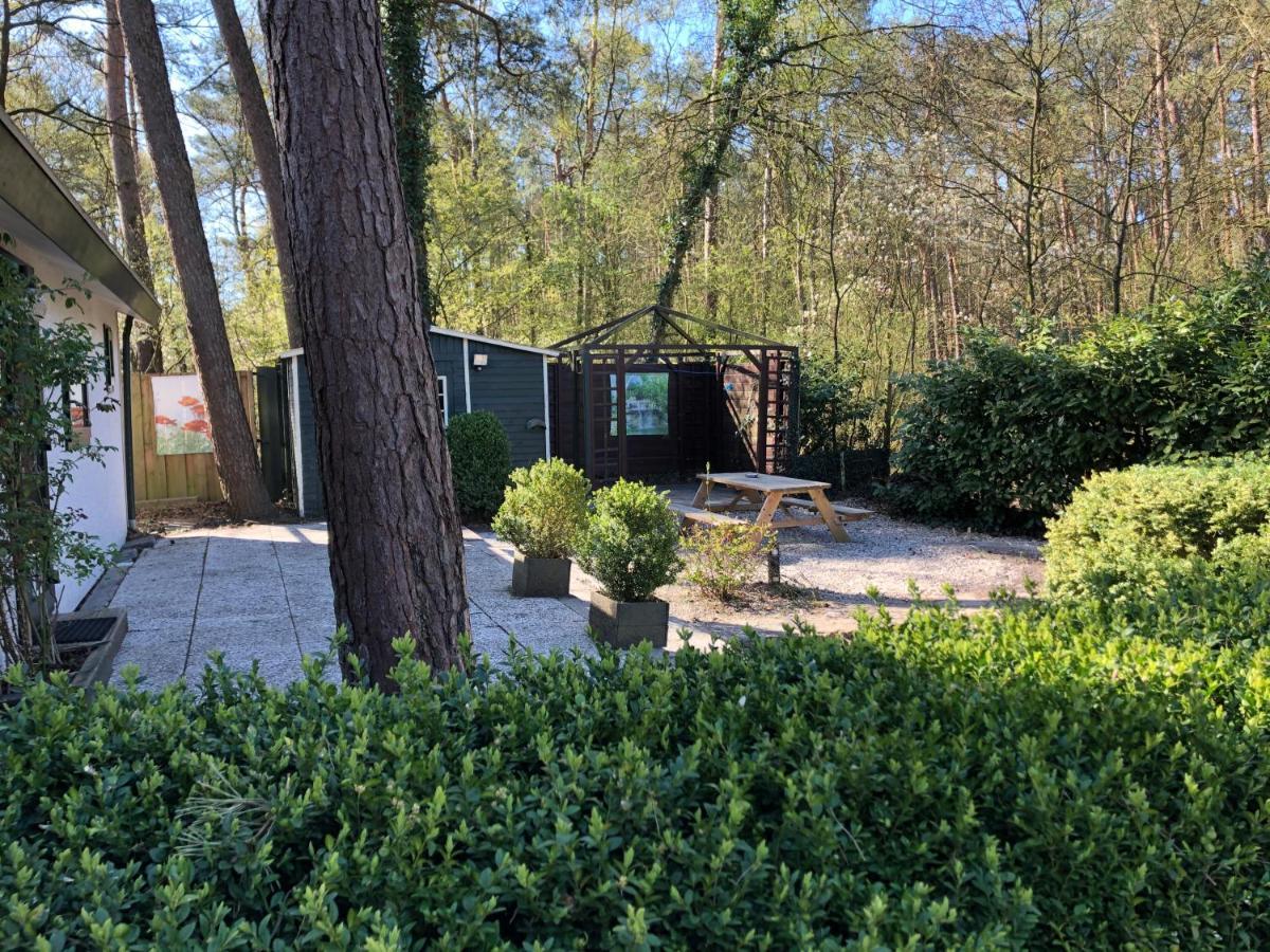 Chalet Dennenvelt Villa Doornspijk Kültér fotó