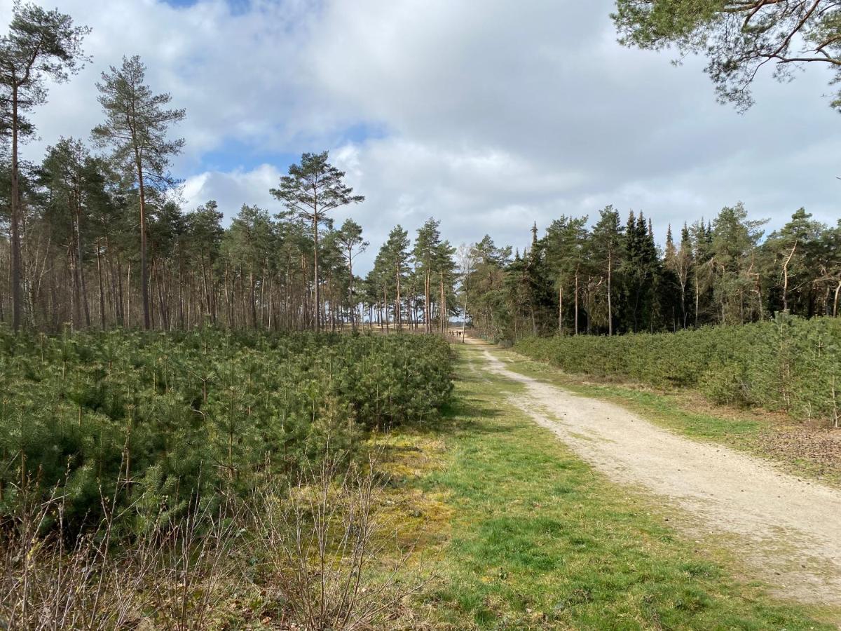 Chalet Dennenvelt Villa Doornspijk Kültér fotó